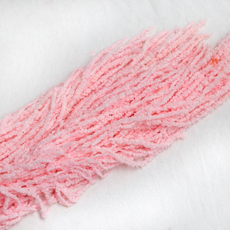 pink Amaranthus