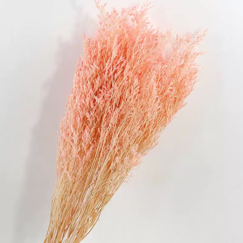pink dried love grass