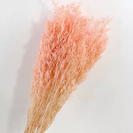 pink dried love grass