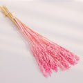 pink dried oats