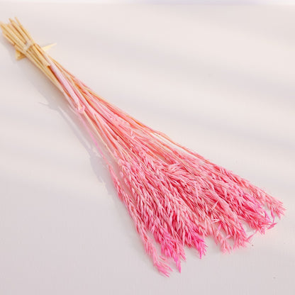 pink dried oats