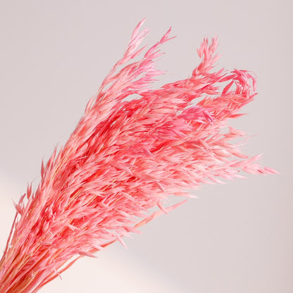 pink dried oats