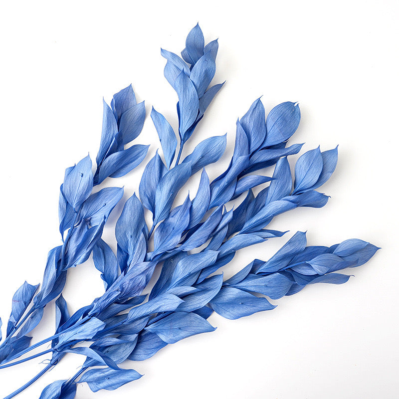 Preserved Orange Leaves Blue