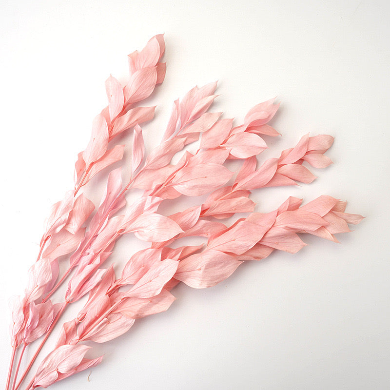 Preserved Orange Leaves Pink