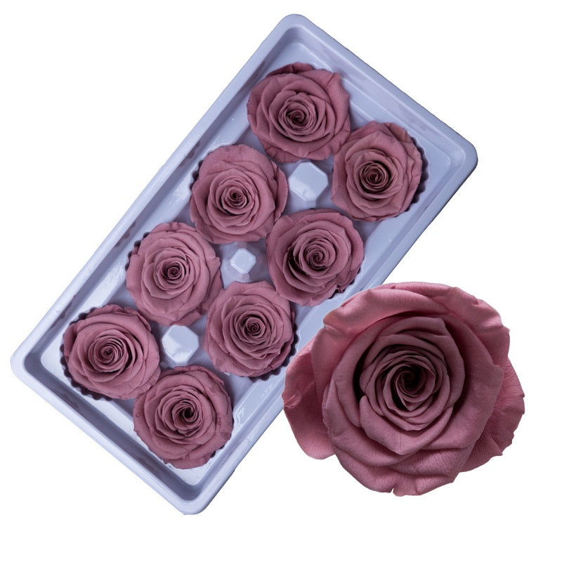 Preserved rose heads dusky rose pink