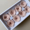Preserved rose heads menta pink