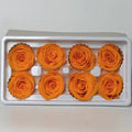Preserved rose heads orange