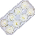 Preserved rose heads white