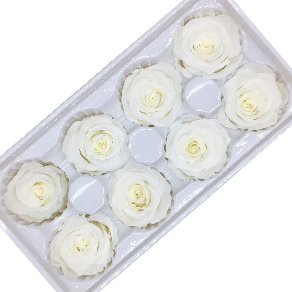 Preserved rose heads white