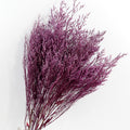 purple love grass