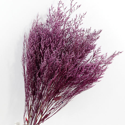 purple love grass
