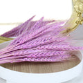 Purple Preserved Wheat