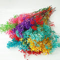Rainbow Gypsophila