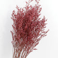 red love grass
