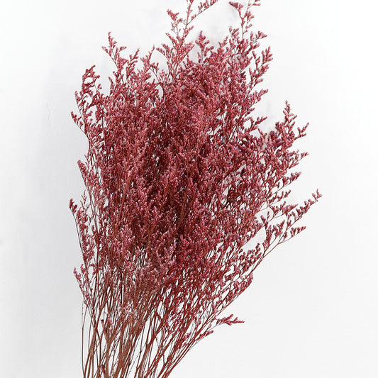 red love grass