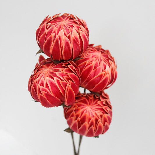 red peony