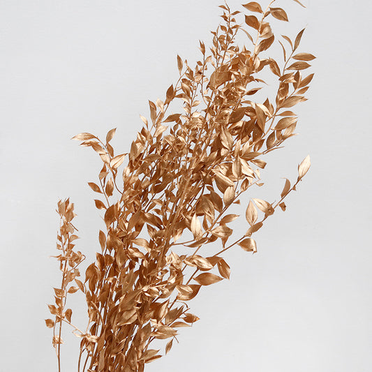 Ruscus Preserved Golden