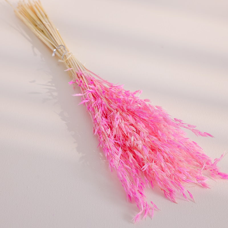 sakura pink dried oats