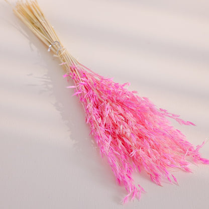 sakura pink dried oats
