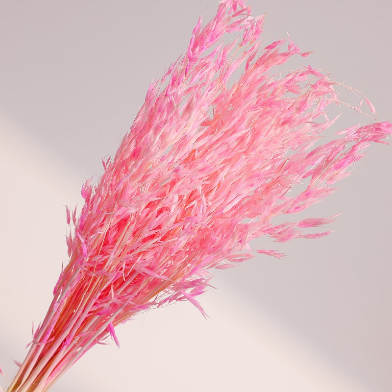 sakura pink dried oats