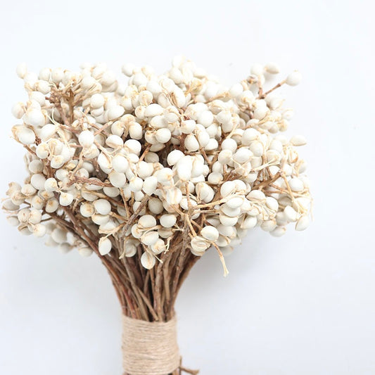 Dried Tallow Berries
