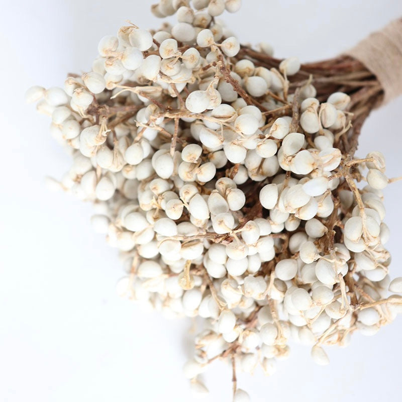 Dried Tallow Berries