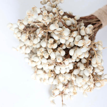 Dried Tallow Berries