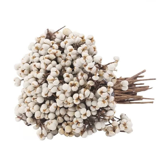 Dried Tallow Berries
