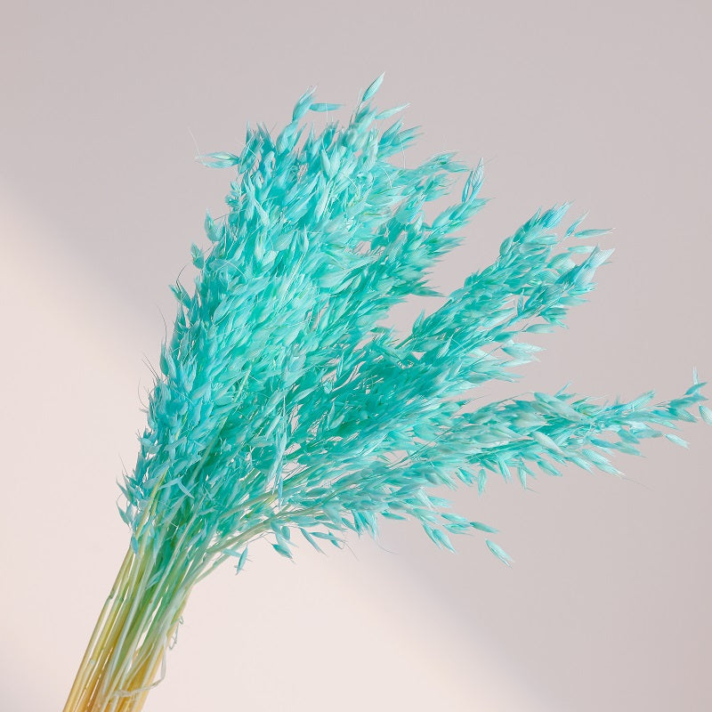 Tiffany blue dried oats