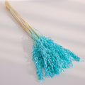 Tiffnay blue dried oats