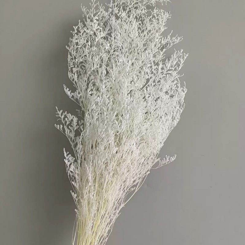 white dried love grass