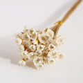 White Dried Glixia Flower