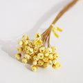 Yellow Dried Glixia Flower