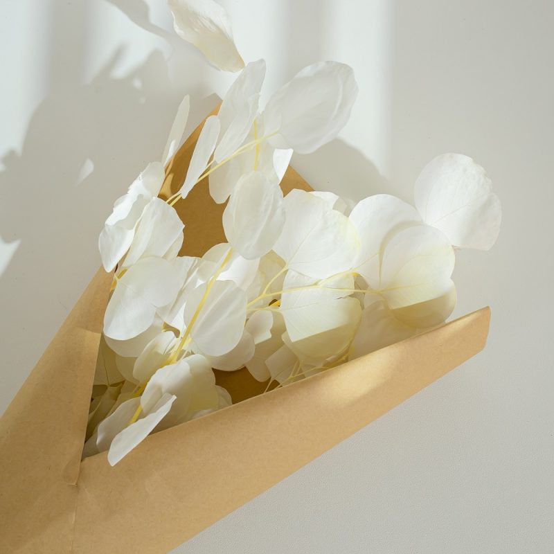 white Eucalyptus