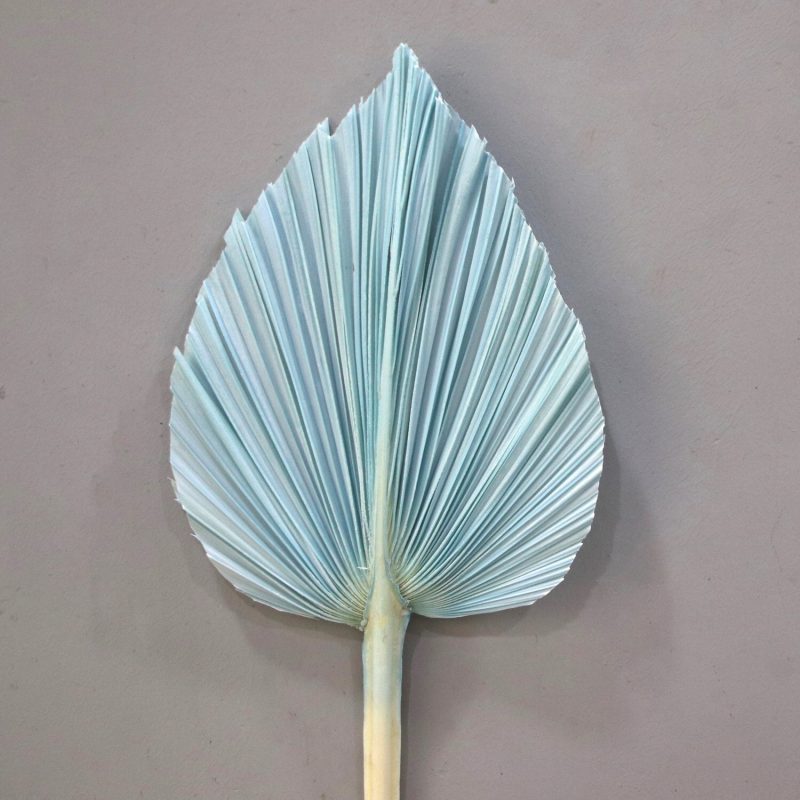 Palm Leaf Medium Light Blue, Preserved