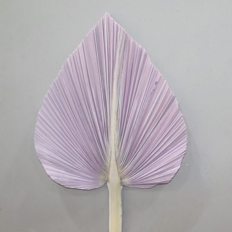 Palm Leaf Medium Lilac, Preserved