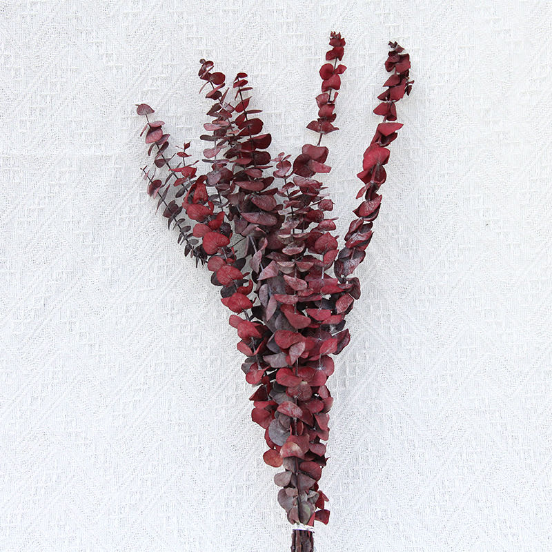 Red  Eucalyptus