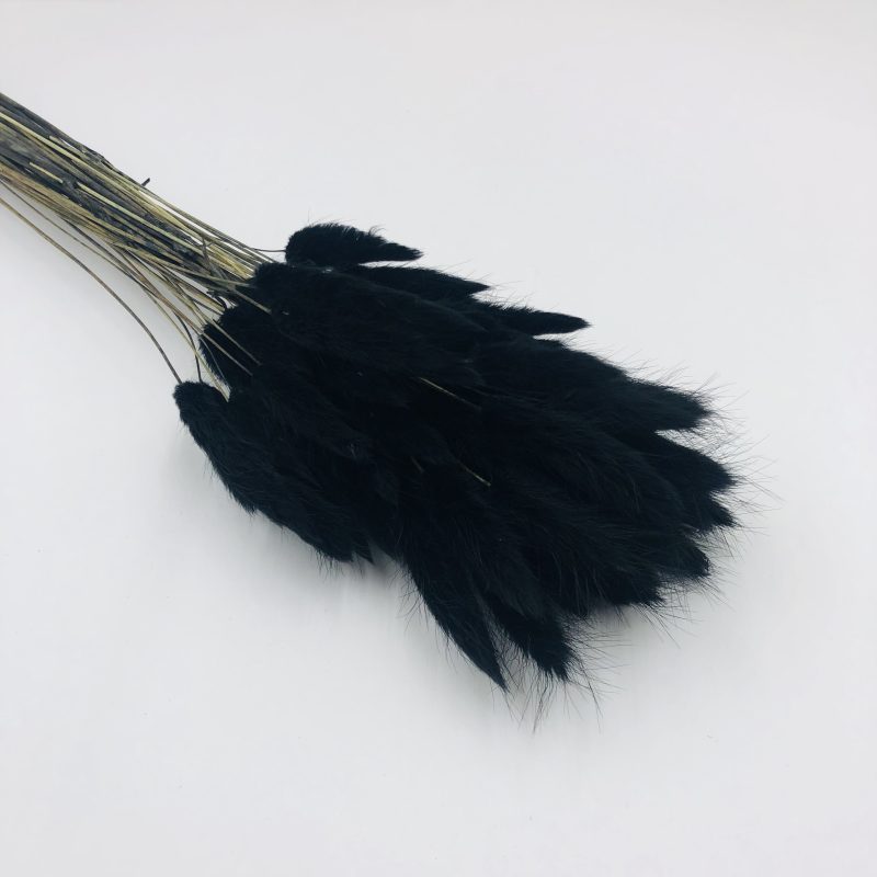black bunny tail