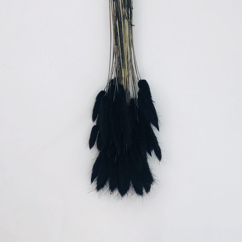 black bunny tail