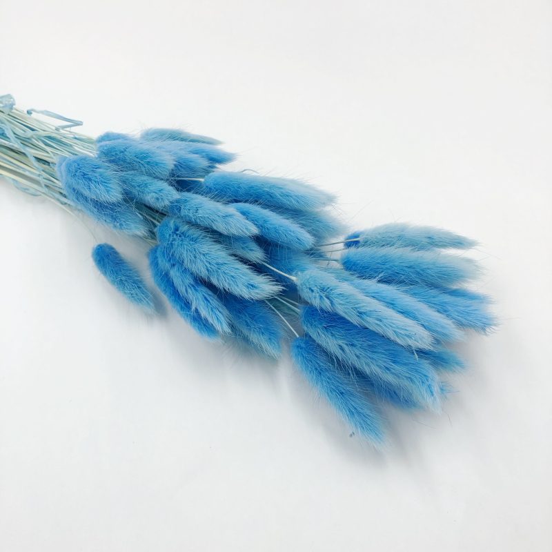 blue bunny tail 2