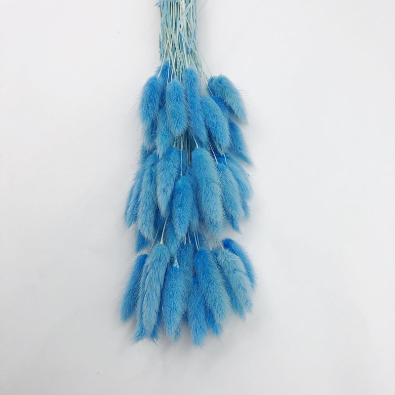blue bunny tail