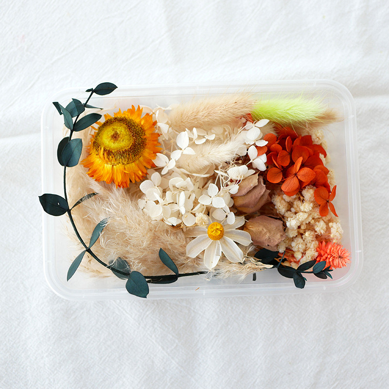 Dried flower heads for crafting
