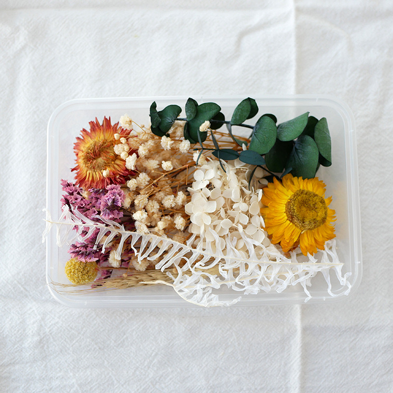 Dried flower heads for crafting