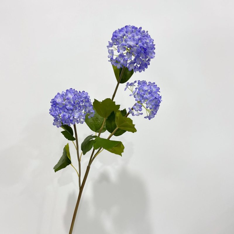 hydrangea purple