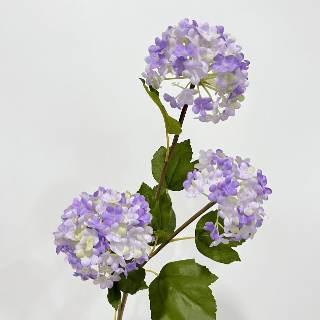 hydrangea purple and white