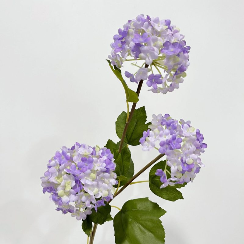 hydrangea purple and white