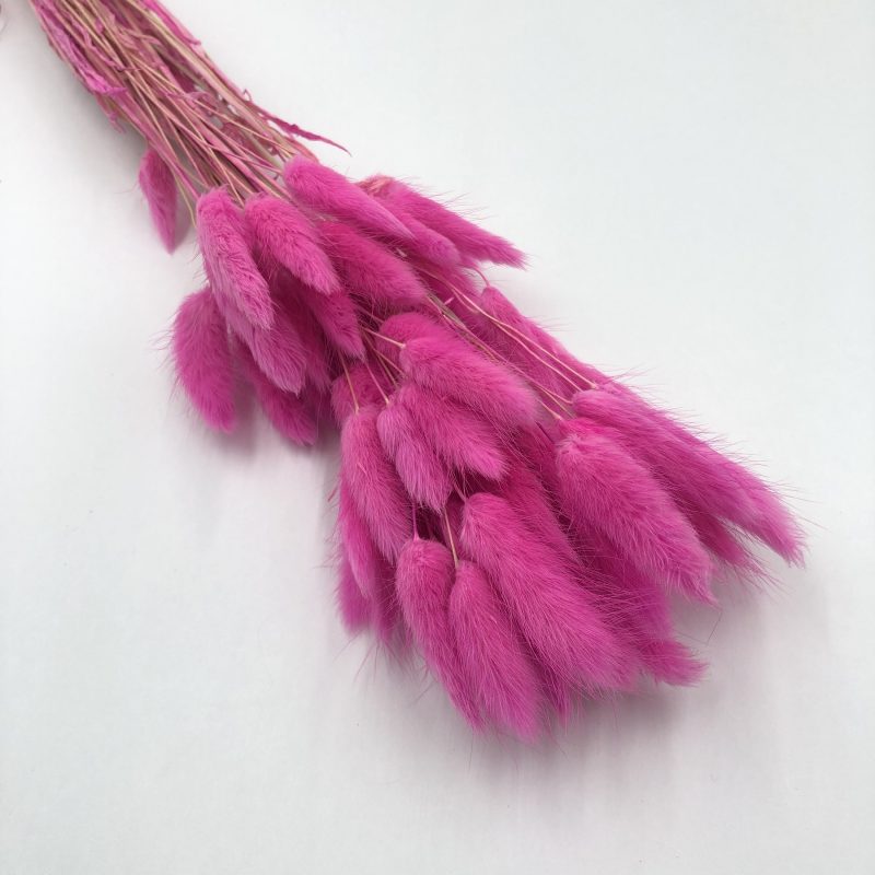 magenta red bunny tail