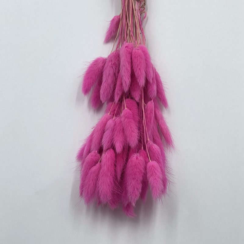 magenta red bunny tail