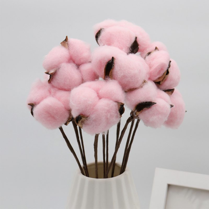 Dried Gossypium, Pink Cotton, 10 Items