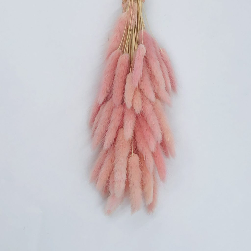 pink bunny tail